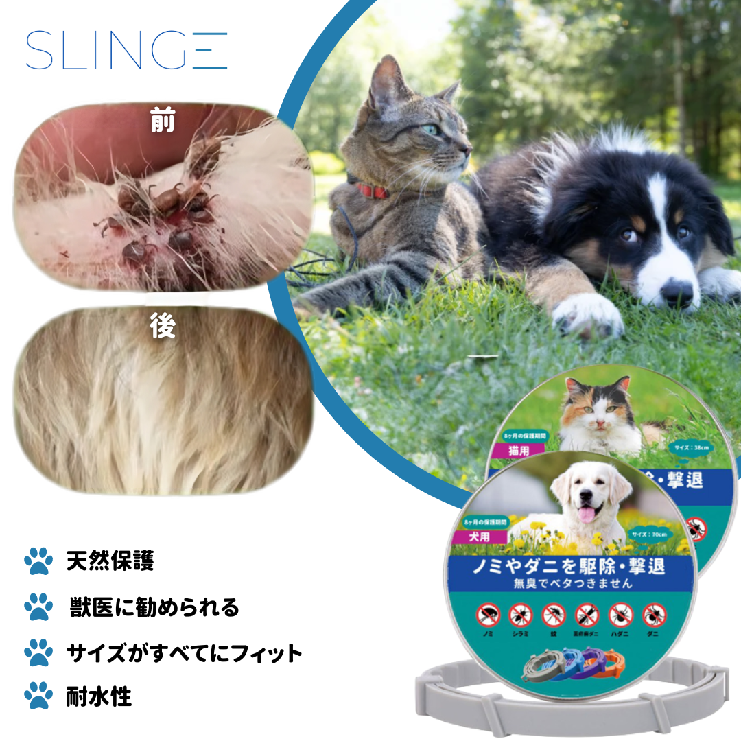 犬と猫用の「SLINGE Pets™ノミ取り首輪」- 8ヶ月間のダニとノミに対する効果