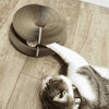 Slinge Pets™ 猫おもちゃ- 何時間もあなたの猫をアクティブに保ちましょう！